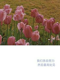 恋恋不忘周