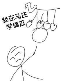 我在马庄学摘瓜