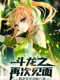 斗龙之再次见面