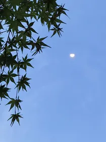 独立短篇合集
