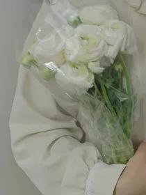 相思落日