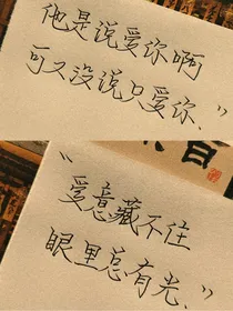 l爱意藏不住l