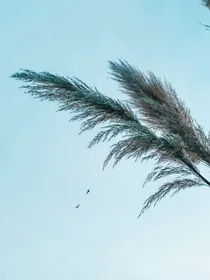 血汗泪