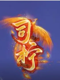快穿女配之司柠
