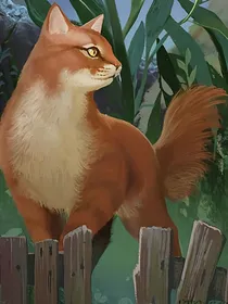 猫武士之松心的使命（自创）