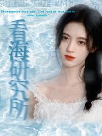 苏新皓：看海研究所-d633