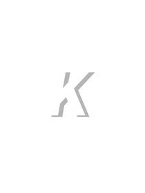 K市回忆录