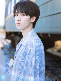 相见恨晚的爱