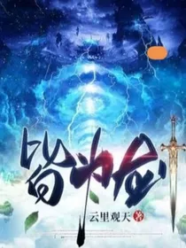 皆为剑