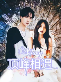 王一博：顶峰相遇