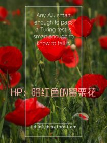 HP：暗红色的罂栗花
