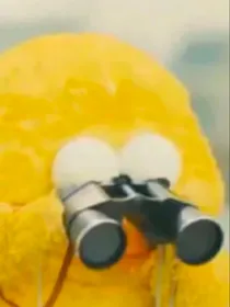 飒爽