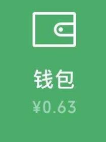 送皮肤