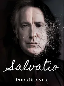 HP—Salvatio救赎（完结）