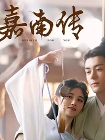 嘉南传致（改编版）