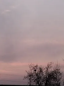 我与女主的爱恨情仇