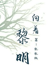 向着黎明