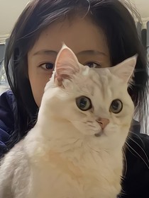爱上了你我吧