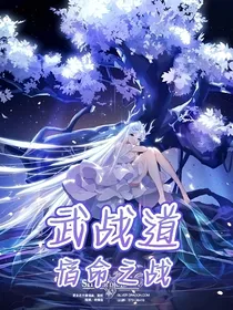 武战道：宿命之战