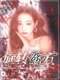 任豪：旋转魔方