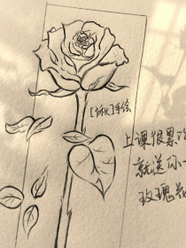 邮画：最后一支玫瑰