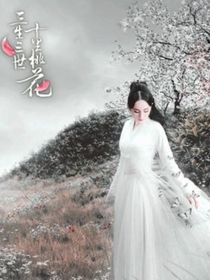 三生三世十里桃花（电视剧版）