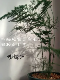 冷酷校霸怎会看上转校小女生