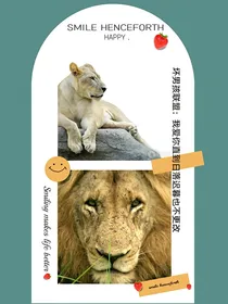 坏男孩联盟：我爱你—直到日落迟暮也不更改