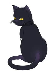 猫耳少年的爱情故事