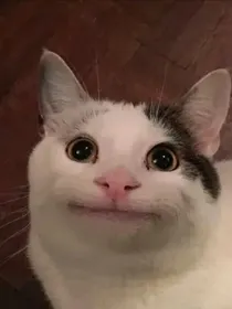 愿望：游戏