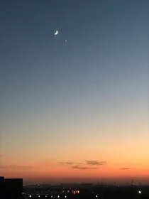 不知道叫什么名字的校园文