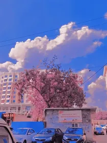 梦想成真，繁华落尽