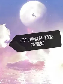 元气拯救队：翔空是猫妖