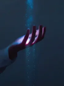 追逐阳光的生灵