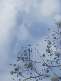 HP——一眼动情
