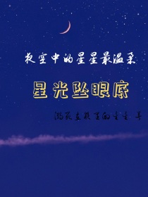 爆甲战陀：星光坠眼底