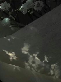 叶罗丽：震惊！这个魔头黑化了！