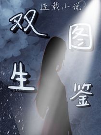 双生图鉴