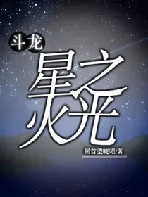 斗龙：星之火光