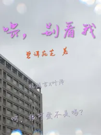 喂，别看我（原）