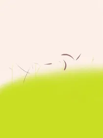 那年郁金花正开