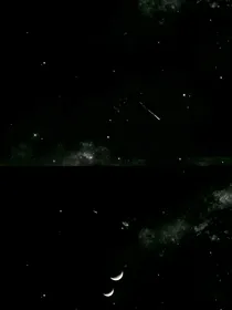 黑黎