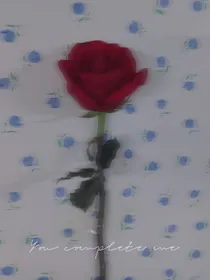 水滴石不穿