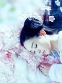 花千骨之重生变团宠