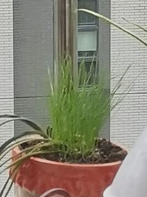 鲁滨逊的冒险生活