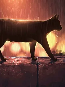 一只旅行的猫