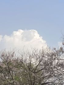 时间的参照
