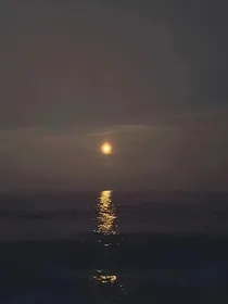 陈情令：在劫难逃