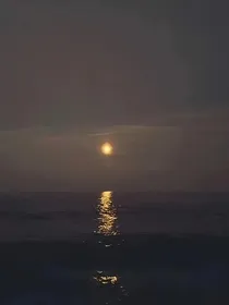 一剑醉姬