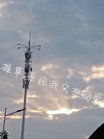 握草，系统我只想回家